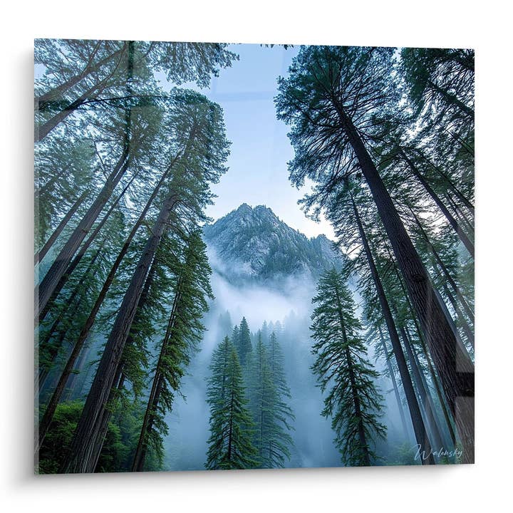 Tabella Sequoie Giganti e Montagna - Maestà Nebbiosa - edizione Foresta per la vendita all'ingrosso da parte di Walensky