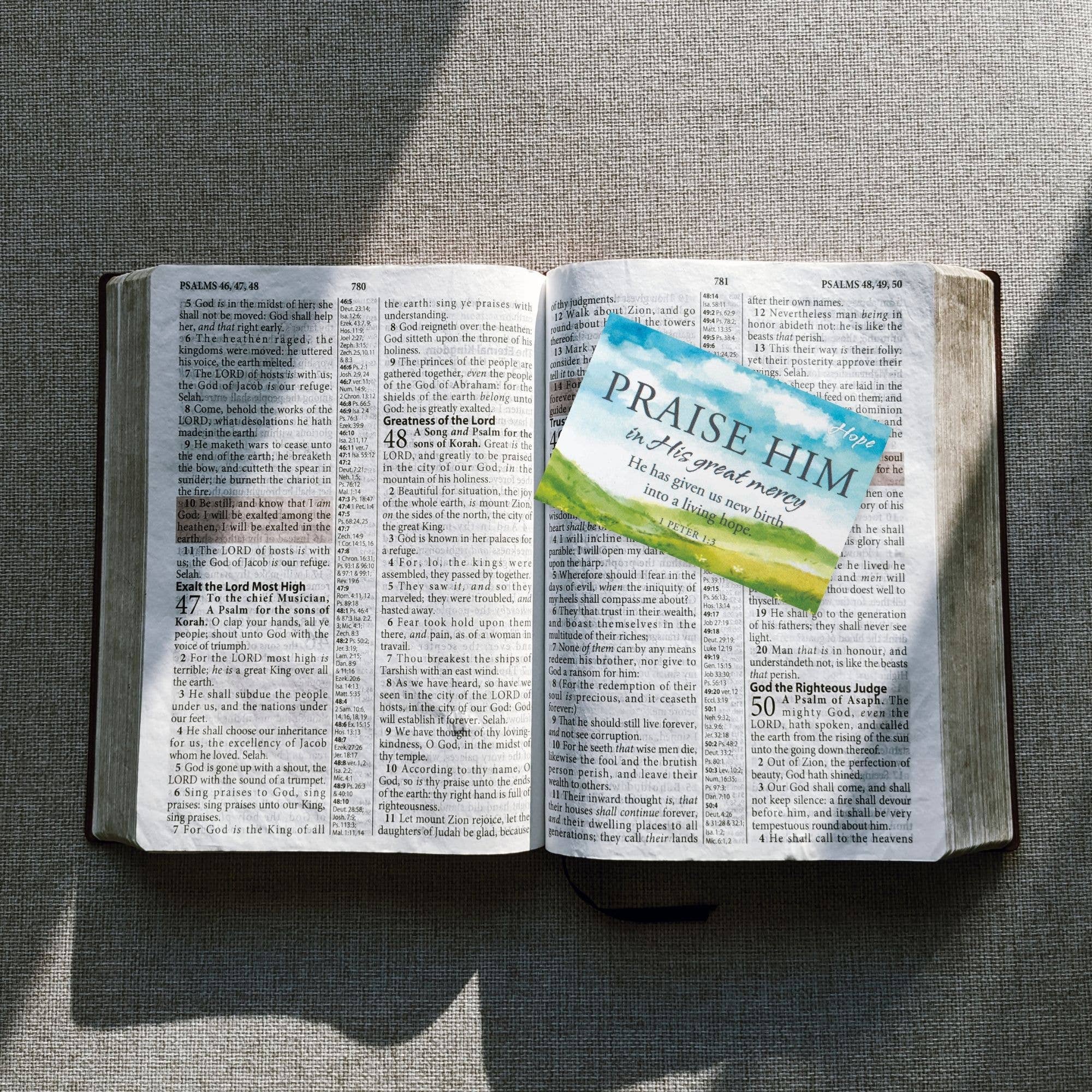 Dicksons – Marcador por atacado – Bkm Ibb Hope 1 Pedro 1:3 2X31