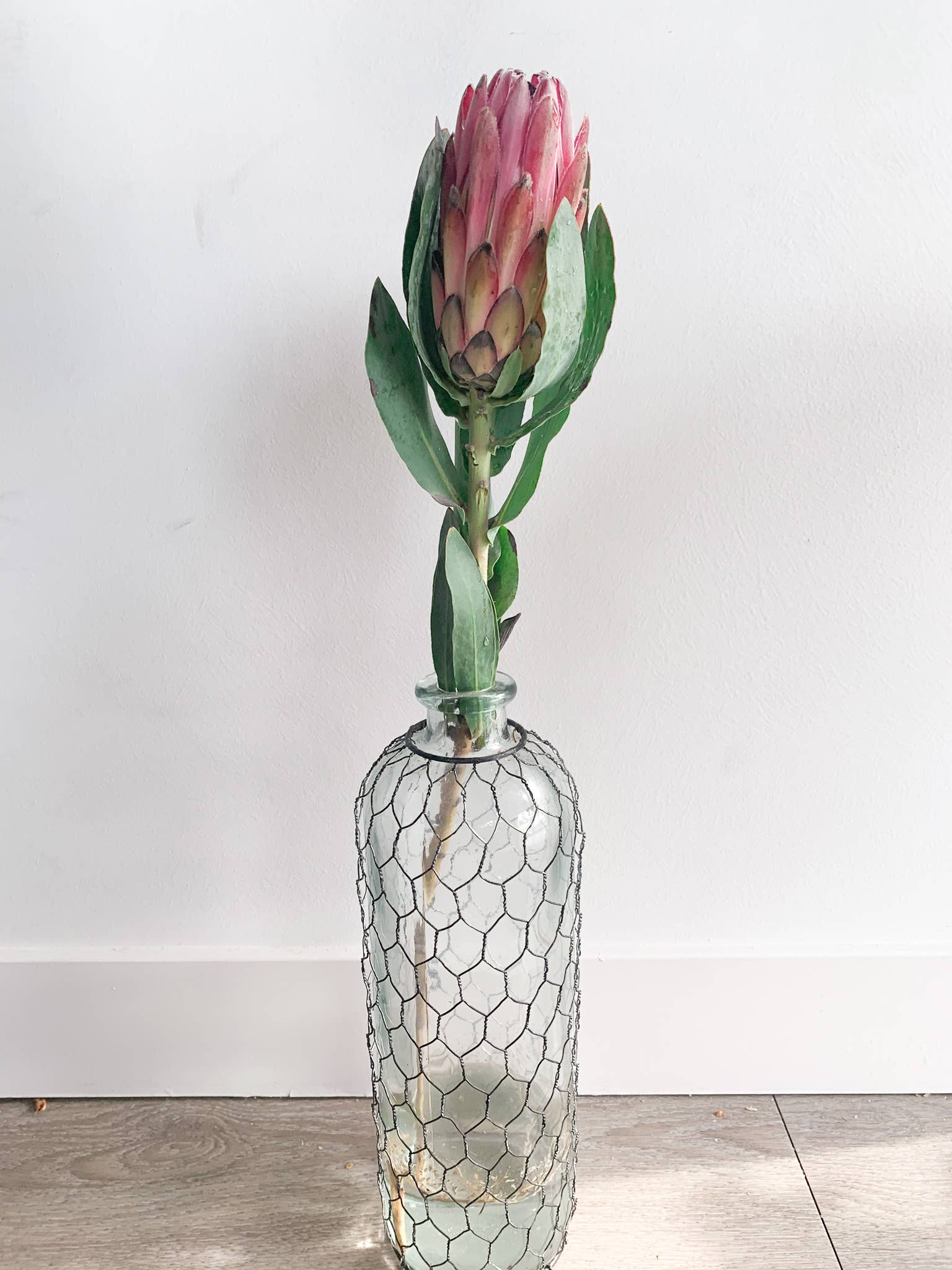 Self-Care Shower - Wholesale Artificial Flowers - Fresh Protea Flowers | California Grown | Pink Blooms2