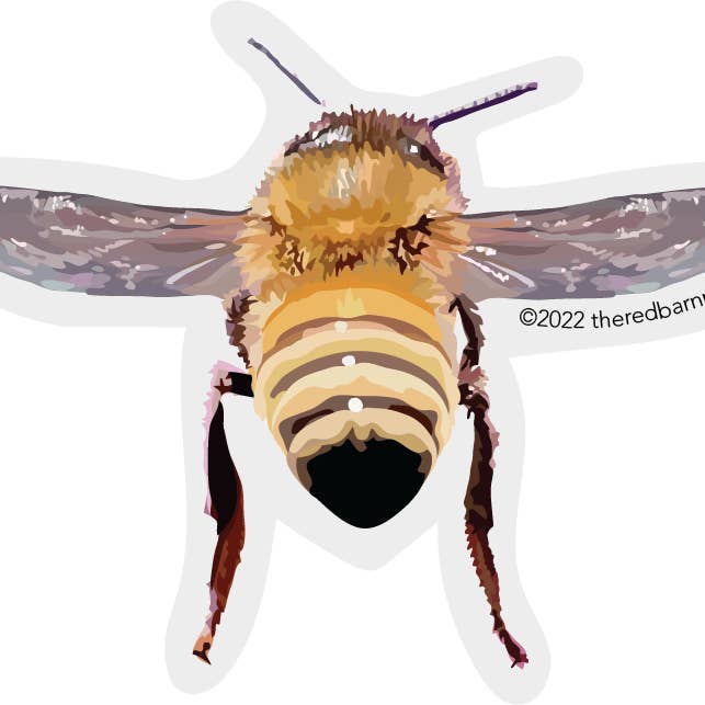 Clear Edge Bee Sticker | Honey Bee Hind View for wholesale by The Red Barn Press