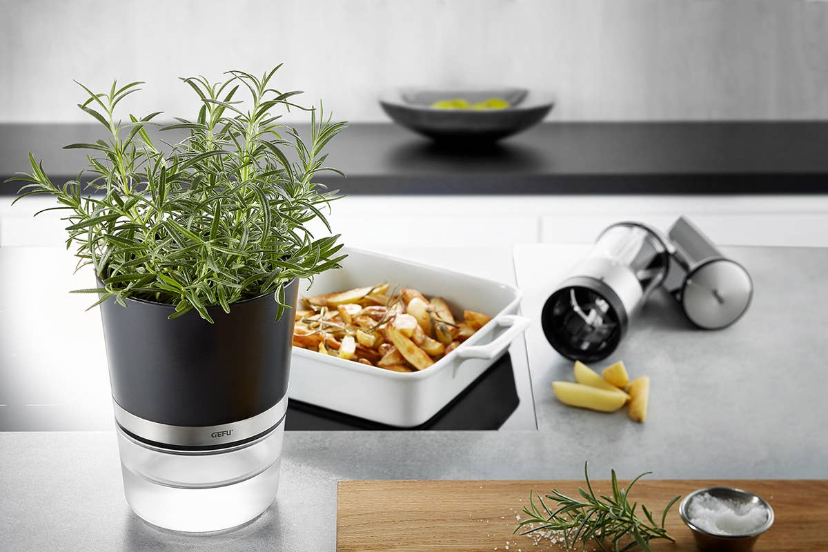 Gefu GmbH - Wholesale Plant Pot - Herb pot BOTANICO2