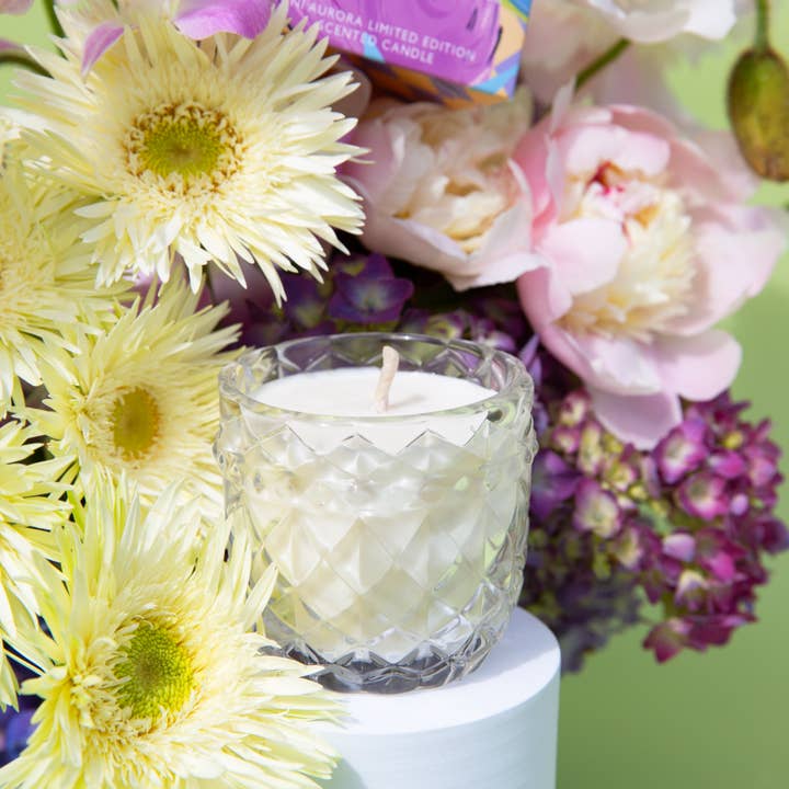 Mrs Darcy - Wholesale Jar/filled candle - Aurora Mini Candle - Splice - Passionfruit Martini, Sliced Orange + Guava Ice