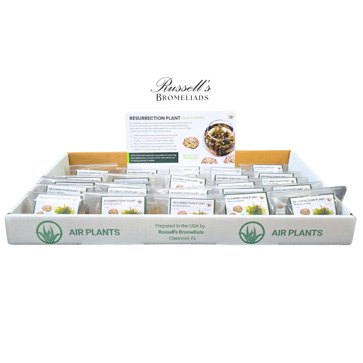 Russell's Bromeliads - Wholesale Live Plant - Resurrection Plant Set in Display Case - Full Pack9