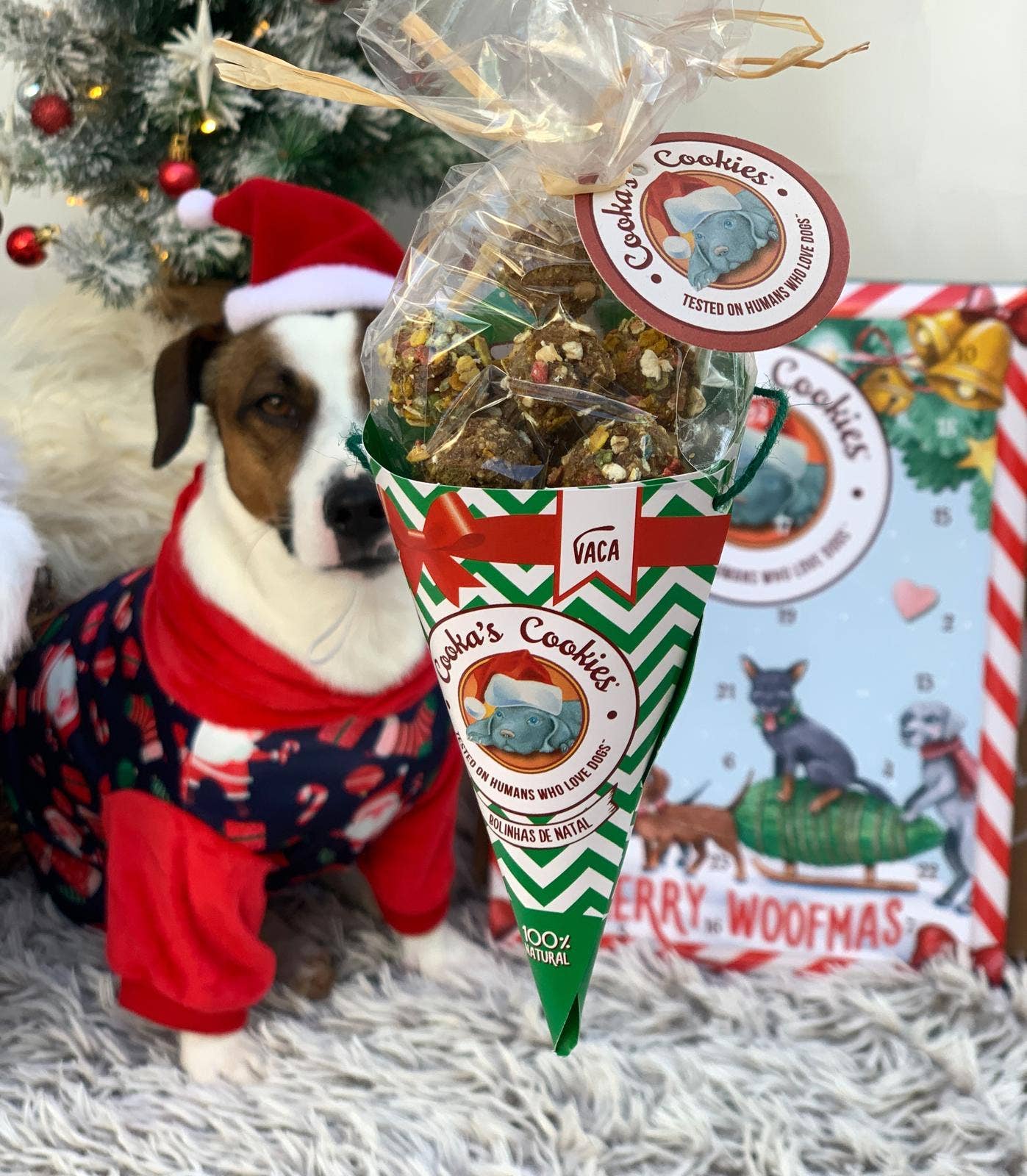 Belpharmed bv: Cooka's Cookies & Sensidog - Wholesale Pet Treats - Dog - Christmas Balls - Beef - Natural Dog Treats4