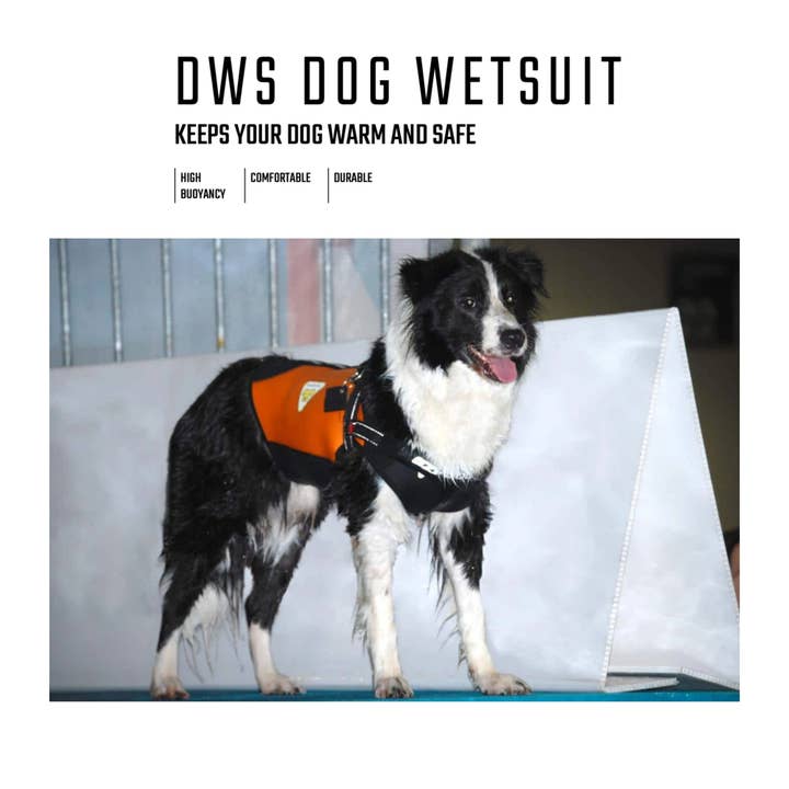 Swimcore - Wholesale One Piece Swimsuit - Baby - Dog Wetsuits Medium Sizes | CRESSI DOG