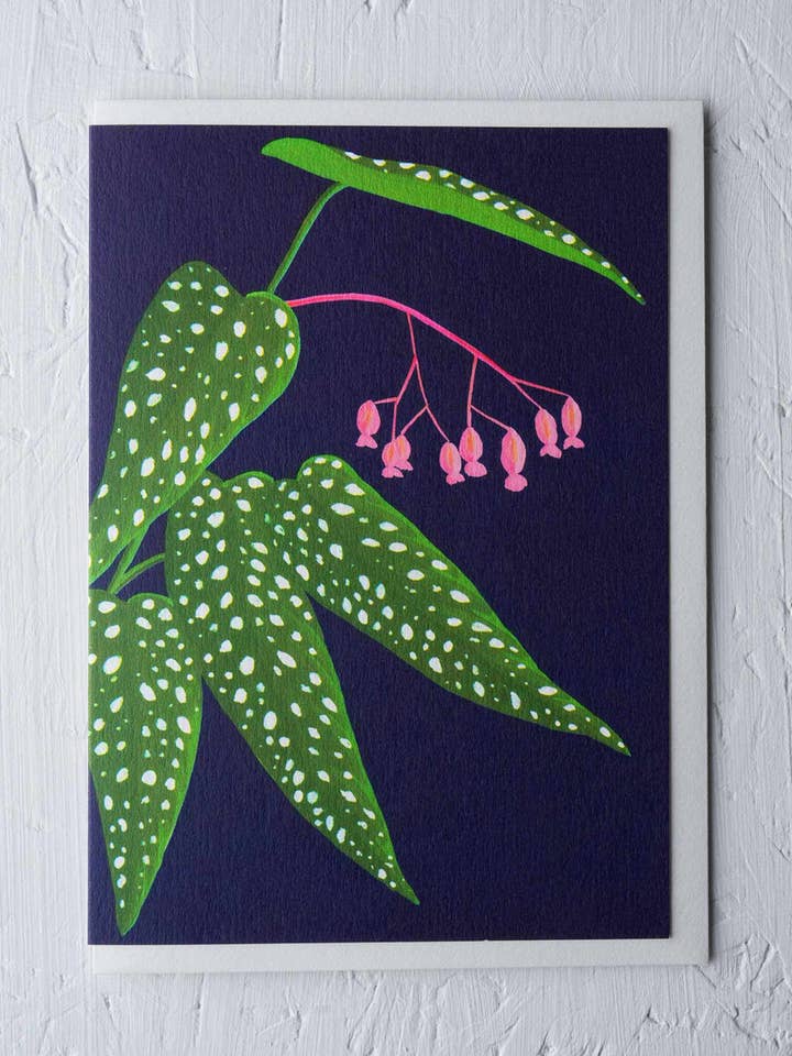 Begonia Greeting Card for wholesale by Stengun Drawings