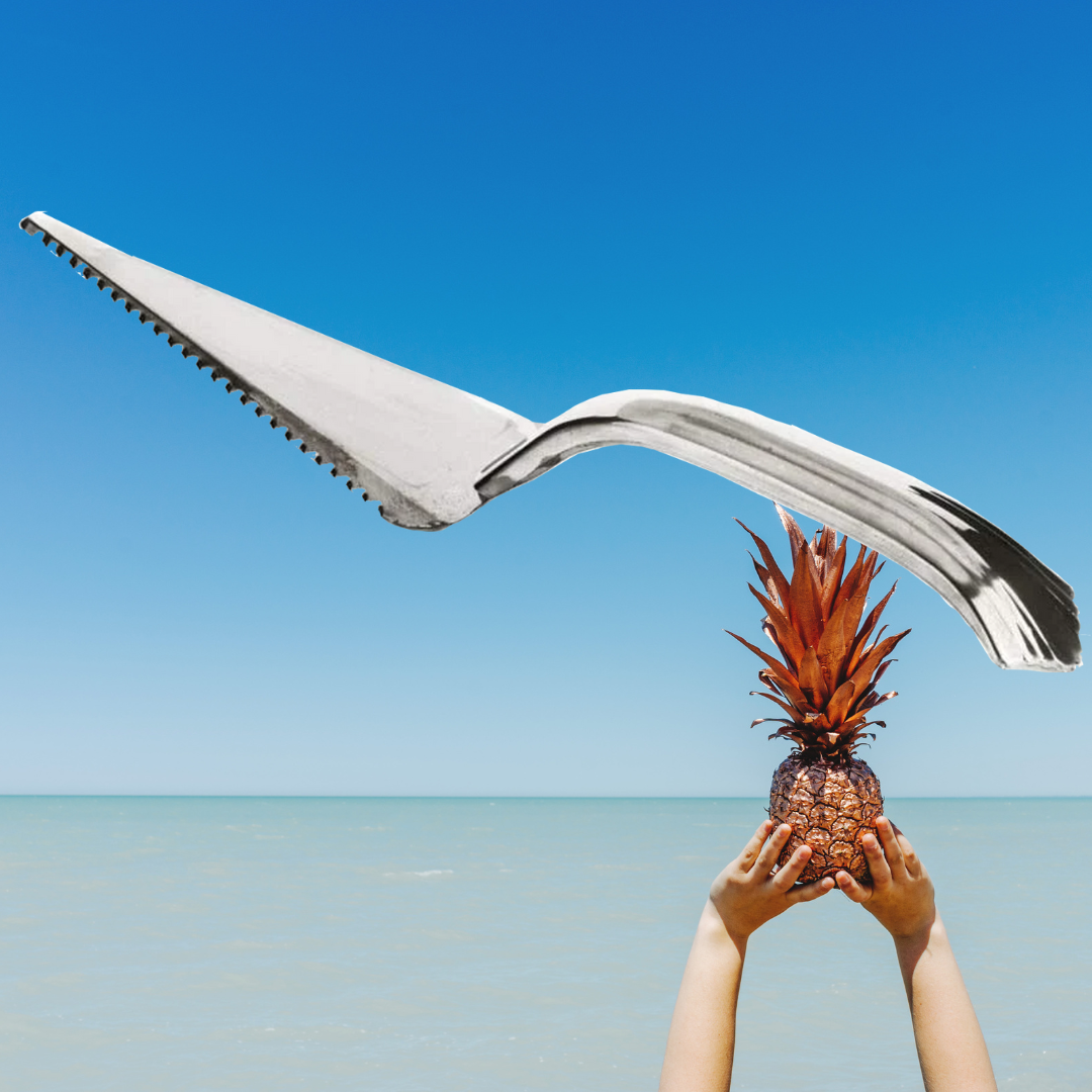 EcoQuality – wholesale Serving utensil – Silver Disposable Plastic Cake Servers Cake Lifter 10"2