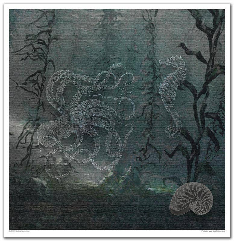 ITD Collection - Vendita all'ingrosso Scrapbooking - SLS-004 - set 11 pezzi x 310x320 mm / 12,2x12,6 in - 200 GSM8