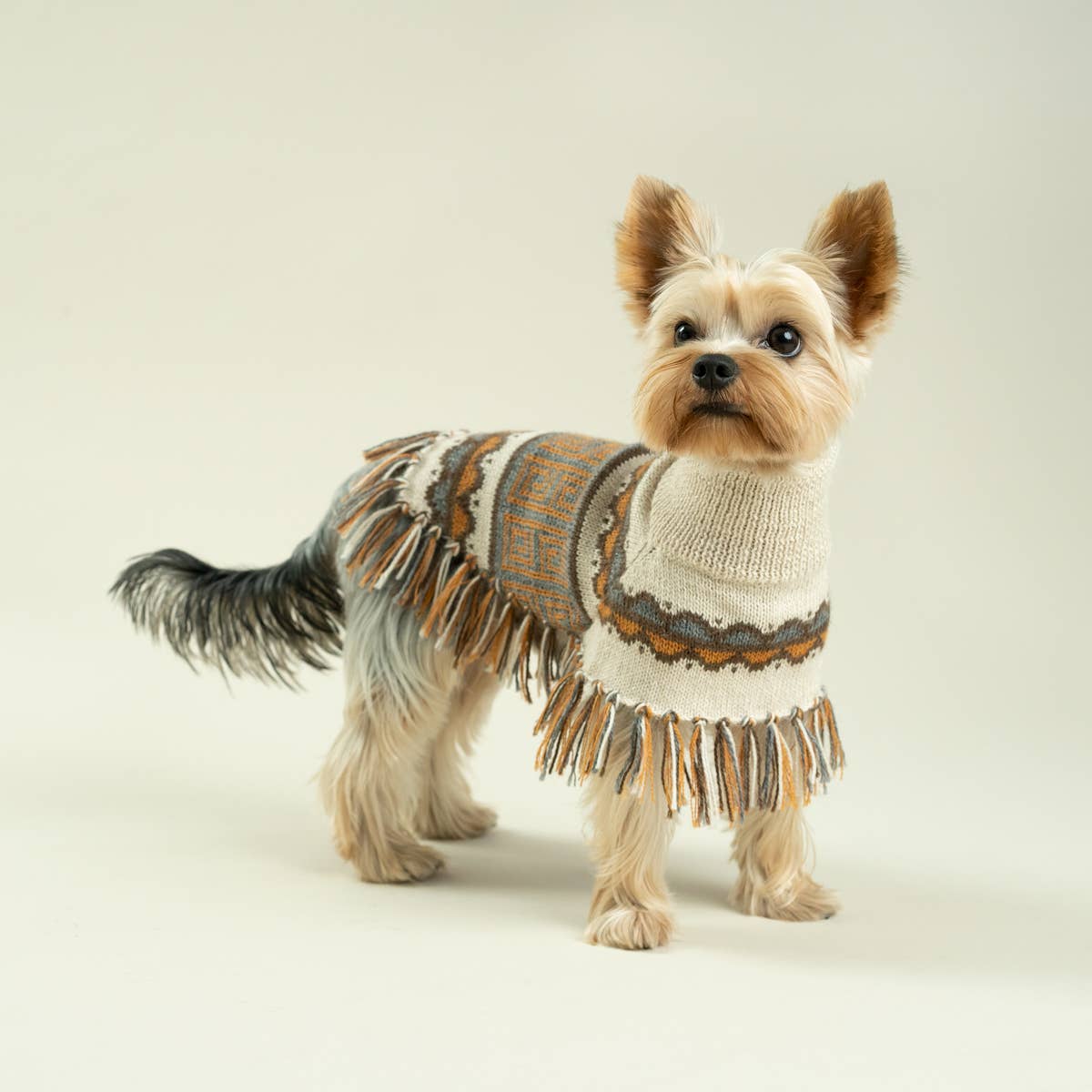 Alqo Wasi - Wholesale Pet Poncho - Dog - Pisac Alpaca Dog Poncho1
