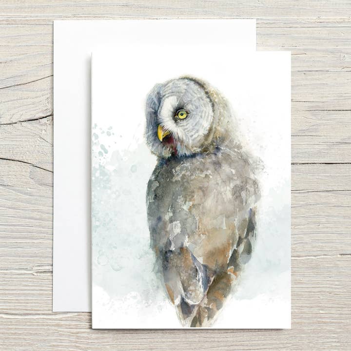 Fauna de América del Norte: Cárabo Lapón para venta al por mayor de Christy Obalek Illustration