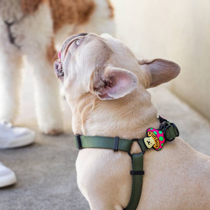 Jiby Dog Crew – wholesale Halsbandsberlock - Katt och hund – Rolig Kille Hund Jiby