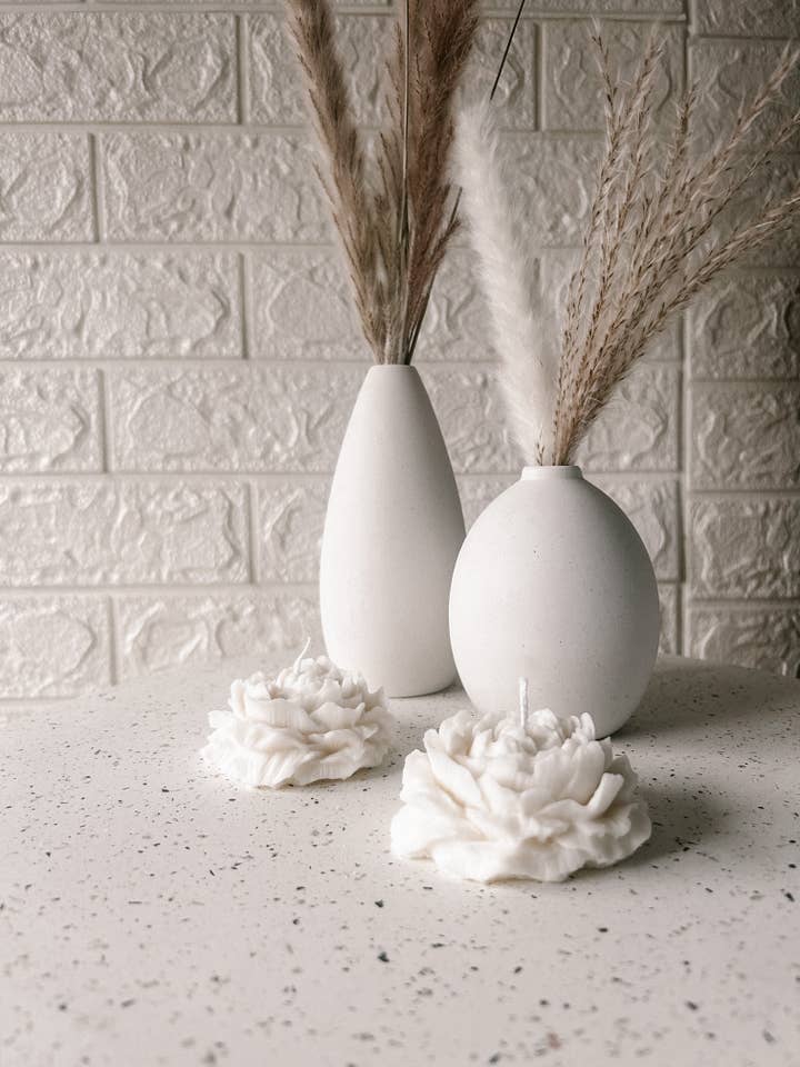 Peonia per la vendita all'ingrosso da parte di ELOSA