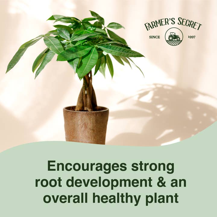 Farmer's Secret - Wholesale Kunstmest - Money Tree plantenvoeding 8oz4