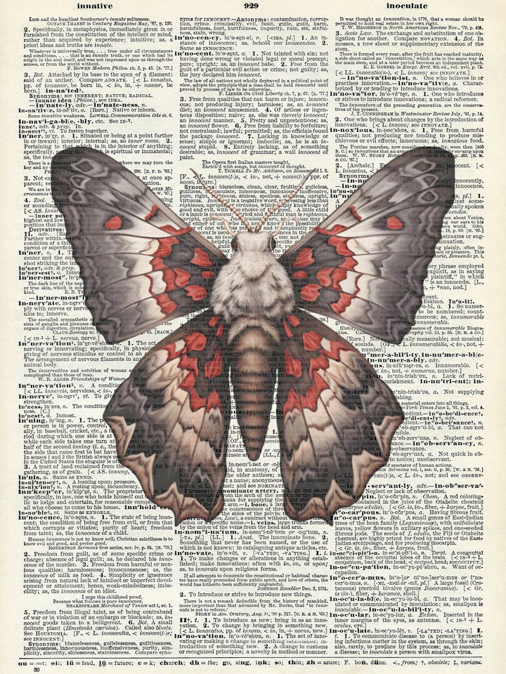 Nachtvlinder, donker, natuur, Halloween, Vintage Woordenboekprenten voor wholesale door Crazilyhumbledesigns