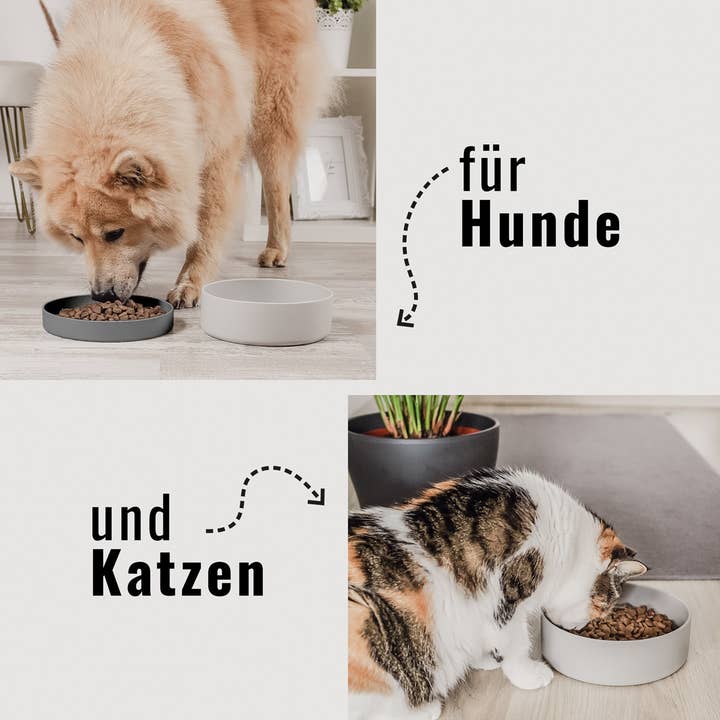 ne&no – Engroshandel Madskål - Kat/hund – ne&no® silikonemadskål med låg til hunde og katte – MIX3