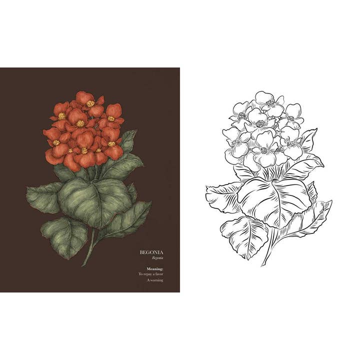 Simon & Schuster - Wholesale Coloring Book - Adult - Floriography Coloring Book by Jessica Roux