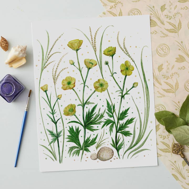 Buttercups & Puffer Mushroom Watercolor Print 8x10 & 11x14 for wholesale by Cynthia Oswald