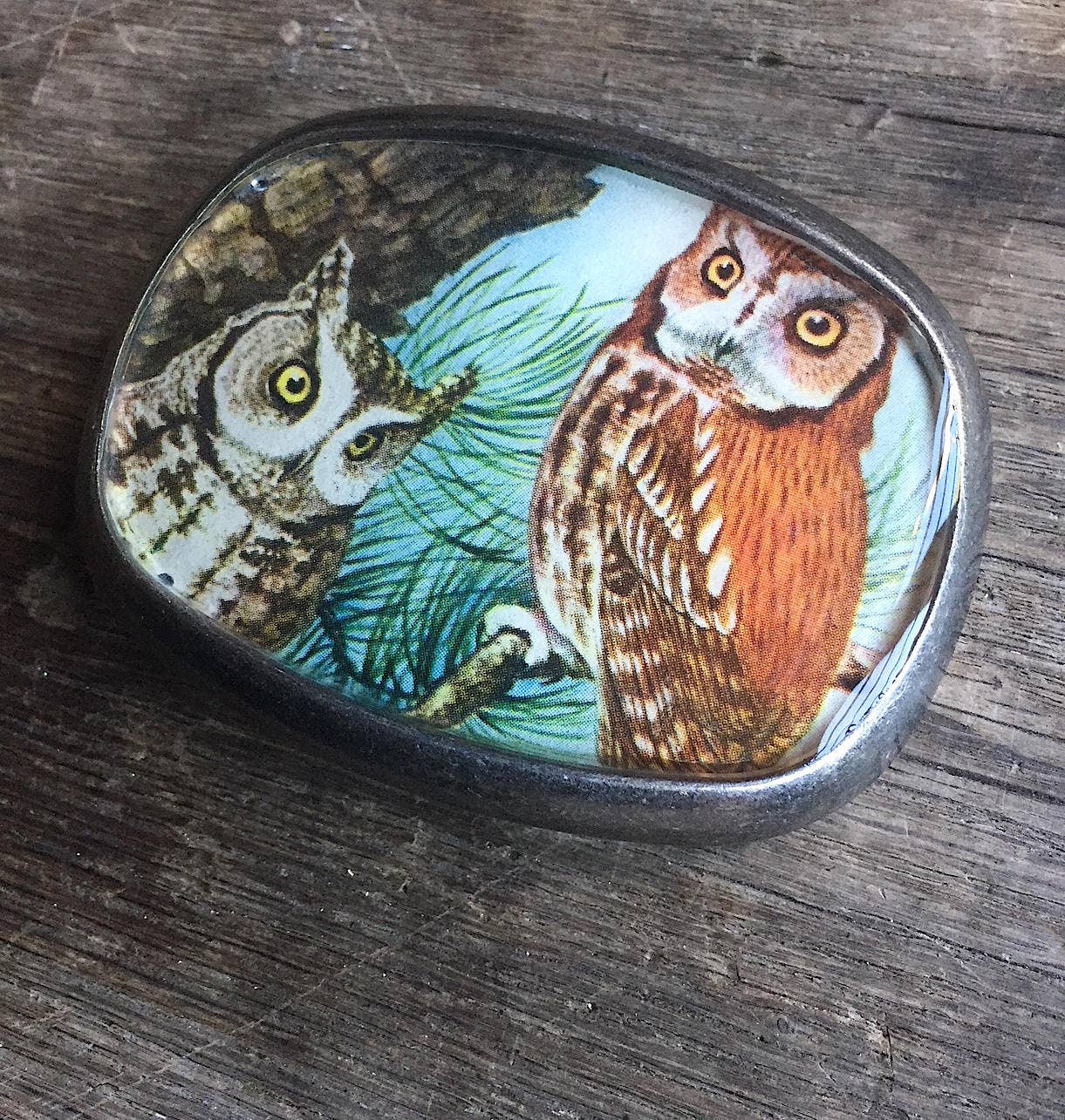 joeyfivecents – Engroshandel Bæltespænde – unisex – Bæltespænde, fugle - fuglekiggeri, fugleelsker, dyreliv, sangfugl7