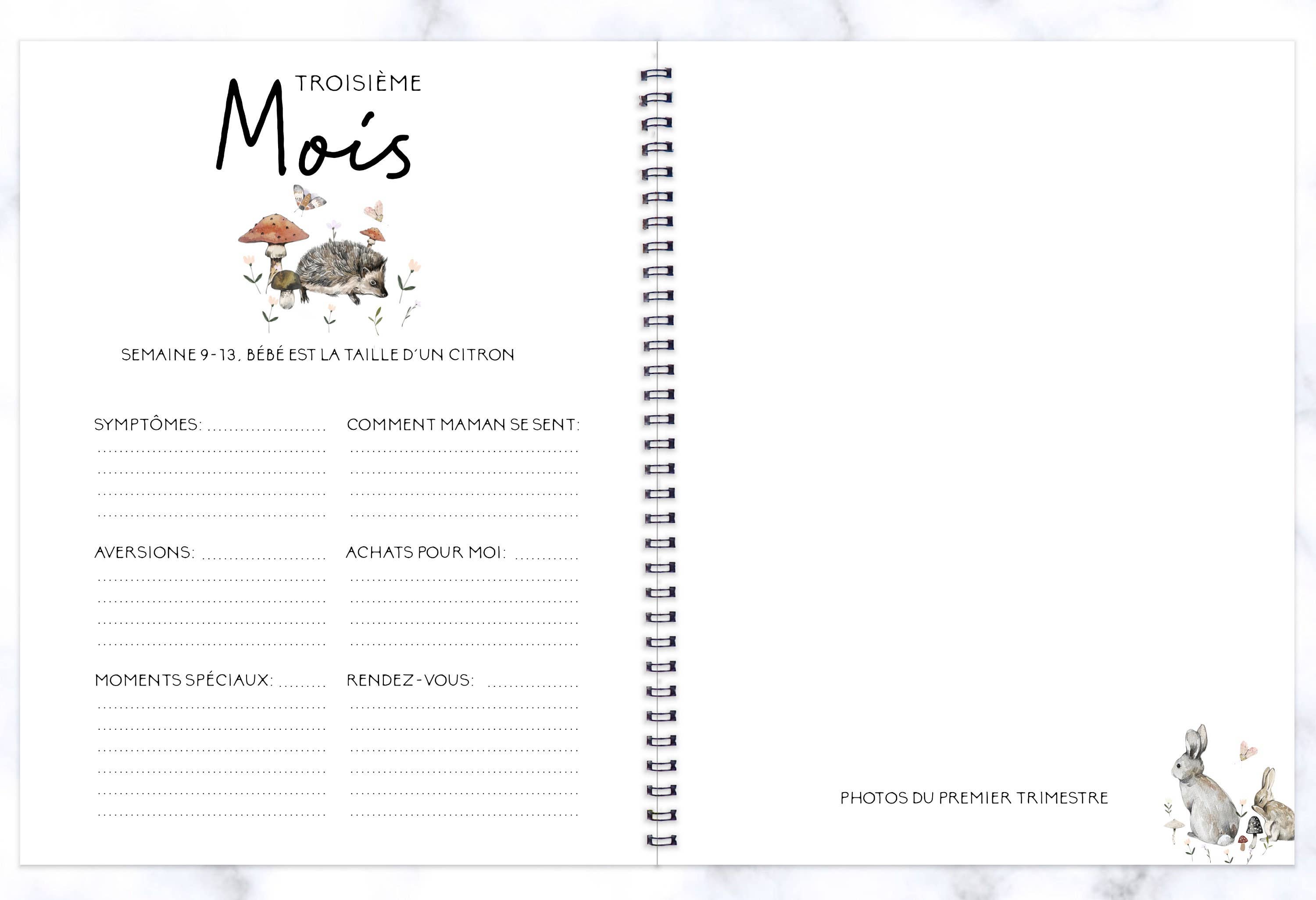 Rainbows&Lollipops Inc - Wholesale Memory Book - Kids & Baby - Journal de Grossesse et Livre de Naissance Unisexe #204