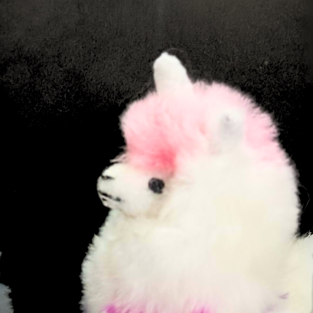 Blossom Inspirations - Wholesale Stuffed/Plush Toy - Kids & Baby - Colorinche Llamacorn18