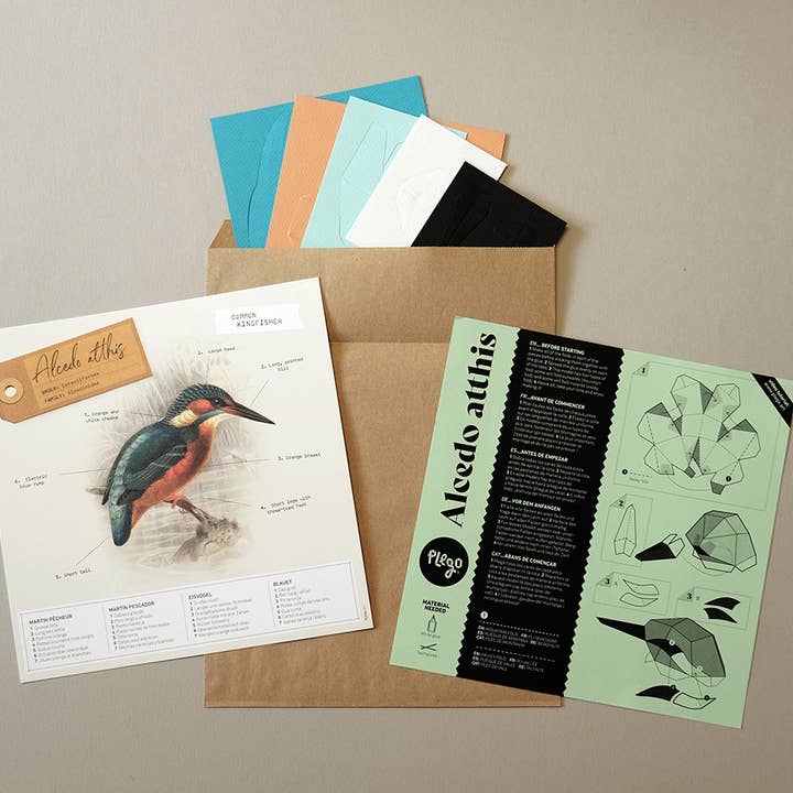 Today is Art Day – wholesale DIY craft kit – Common Kingfisher - Bird 3D Paper Figure by Plego