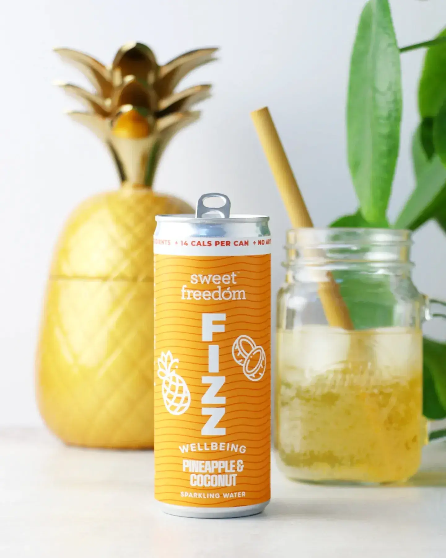 Sweet Freedom – wholesale Sparkling water – Sweet Freedom FIZZ™ Pineapple & Coconut sparkling water, 12x 250ml cans3