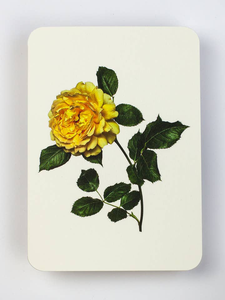 Yellow Rose Greeting Card | Birthday Card | Luxury Cards for wholesale by Canonbury Press