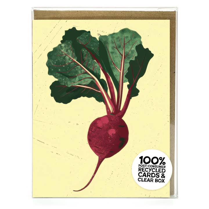 Beautiful Beet – Recycled Boxed Notecard Set for Gardeners & Foodies for wholesale by Scarecrow & Nut Tree