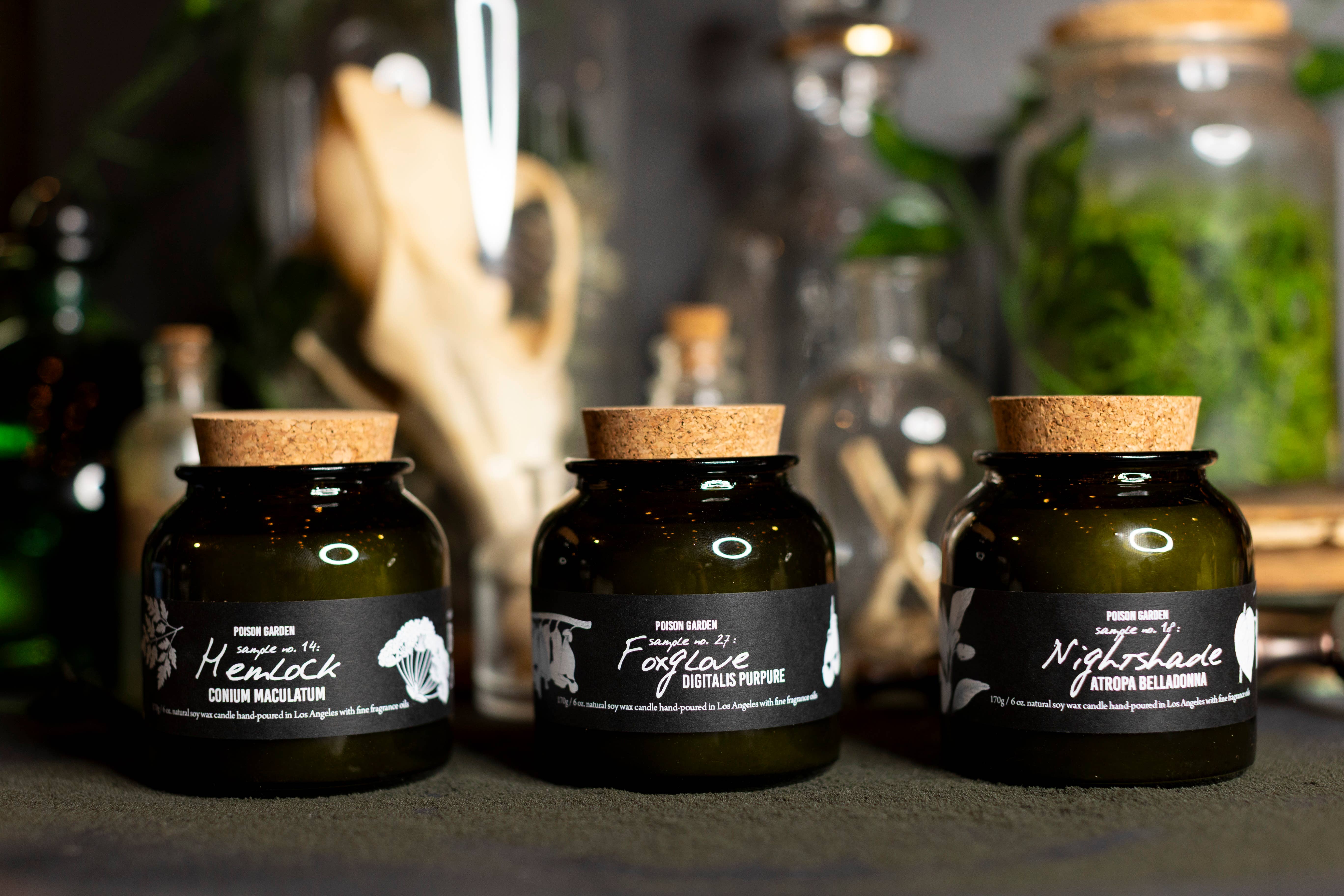 Cantrip Candles - Wholesale Jar/Filled Candle - The Botany Crate (Bulk 6oz candle rate)1