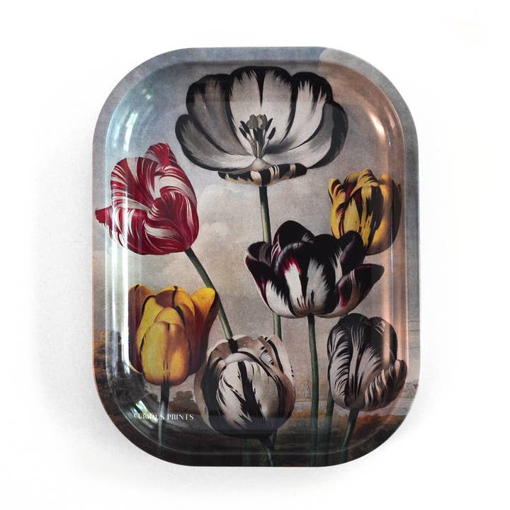 Small Metal Vintage Botanical Tulip Trinket Tray for wholesale by Curious Prints