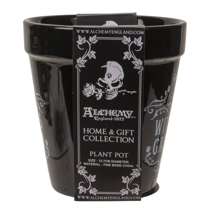 Pacific Trading - Wholesale Plant Pot - 15217 Witches Garden Planter Halloween Decor
