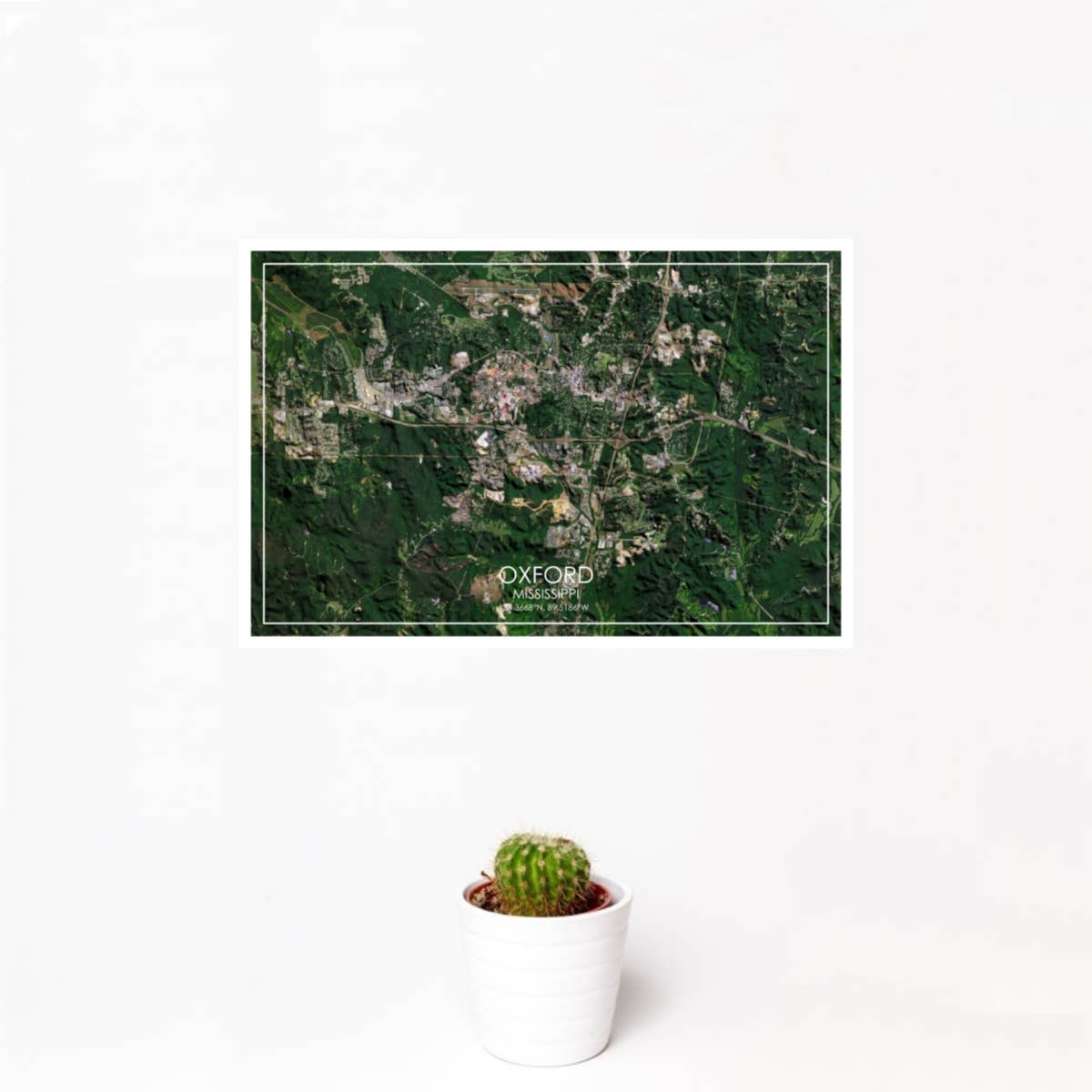 JACE.design - Wholesale Art Print - Oxford MS Map Print Satellite1