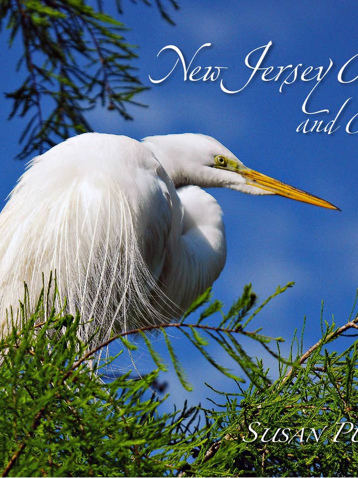 New Jersey Birds and Beyond for wholesale by Schiffer Publishing