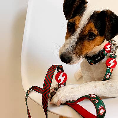 DASHI – wholesale Hundkoppel - Hund – Dashi Noel Koppel Medium1