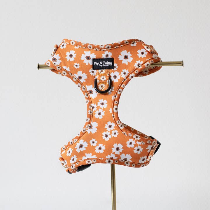 Imbracatura per Cani Ditzy Daisy per la vendita all'ingrosso da parte di Pip and Palms