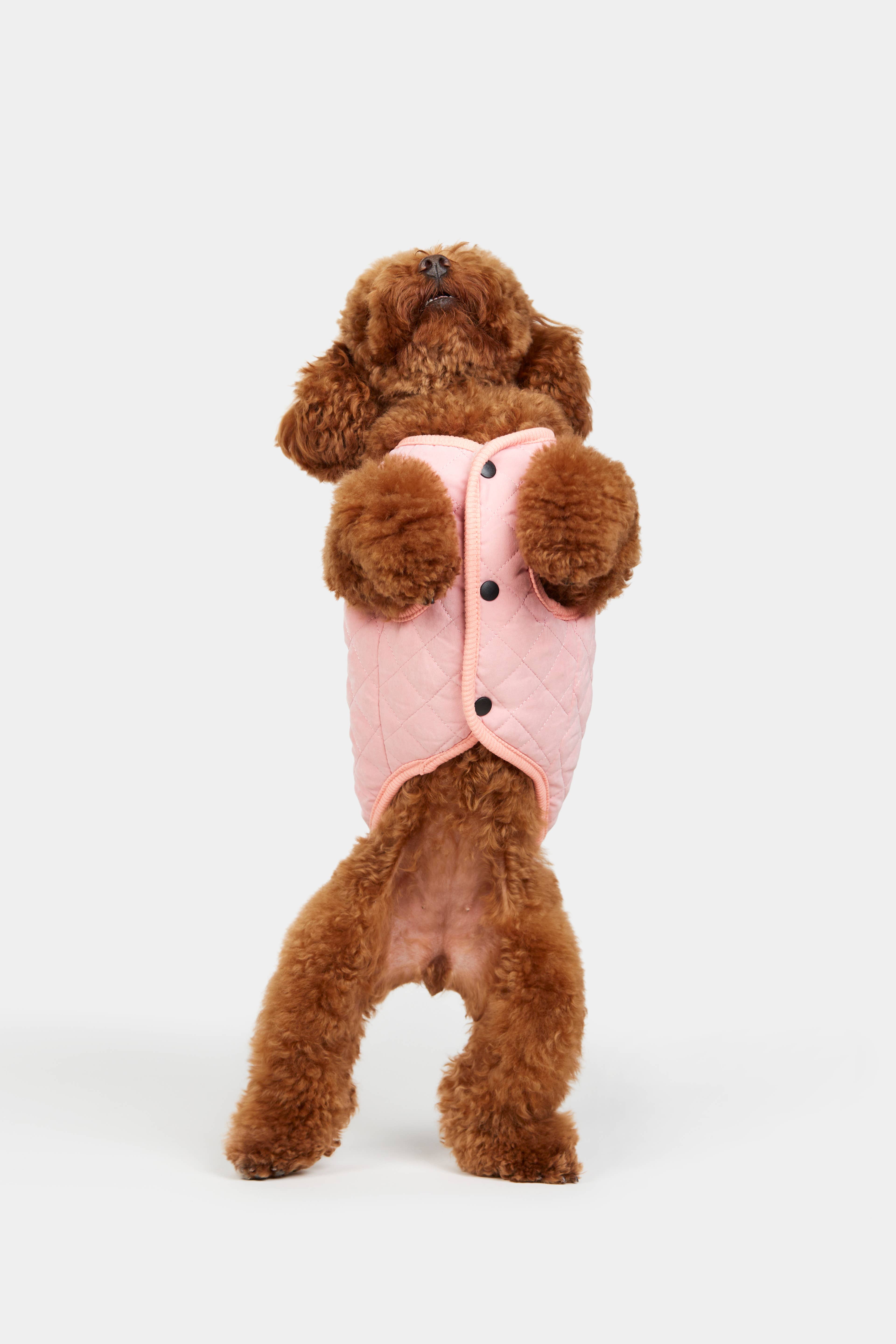 ARISTOPET - Wholesale Pet Coat - Dog - FOXY PINK VEST8