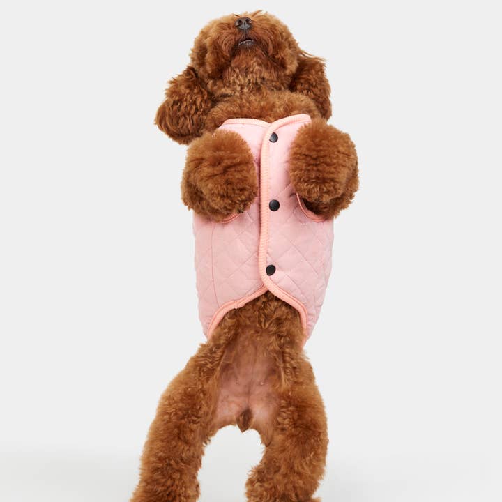 ARISTOPET - Wholesale Pet Coat - Dog - FOXY PINK VEST8