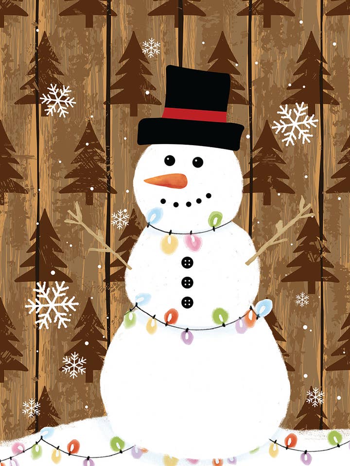 Frosty House Flag 28in by 40in for wholesale by Wholesale Home Decor