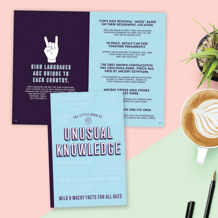 The Little Book of Unusual Knowledge Book for wholesale by Willow Creek Press & Gifts