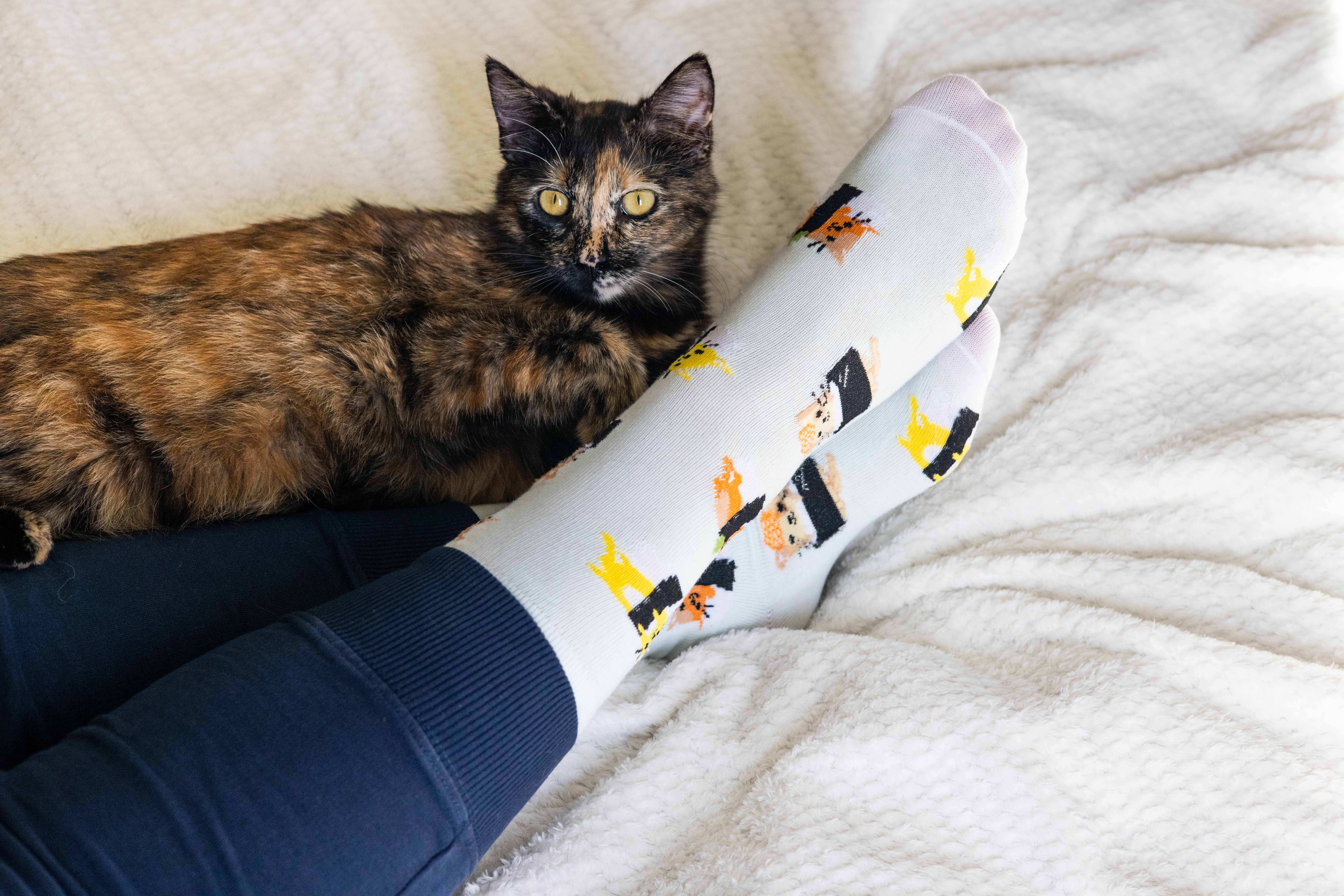 Pearhead - Wholesale Socks - Unisex - Cat Sushi Socks, Pet Owner Apparel, Unisex Crew Socks1
