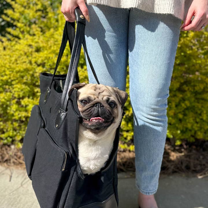 DJANGO - Wholesale Pet Carrier - Dog - Dog Carrier Bag - Black Waxed Canvas and Leather2