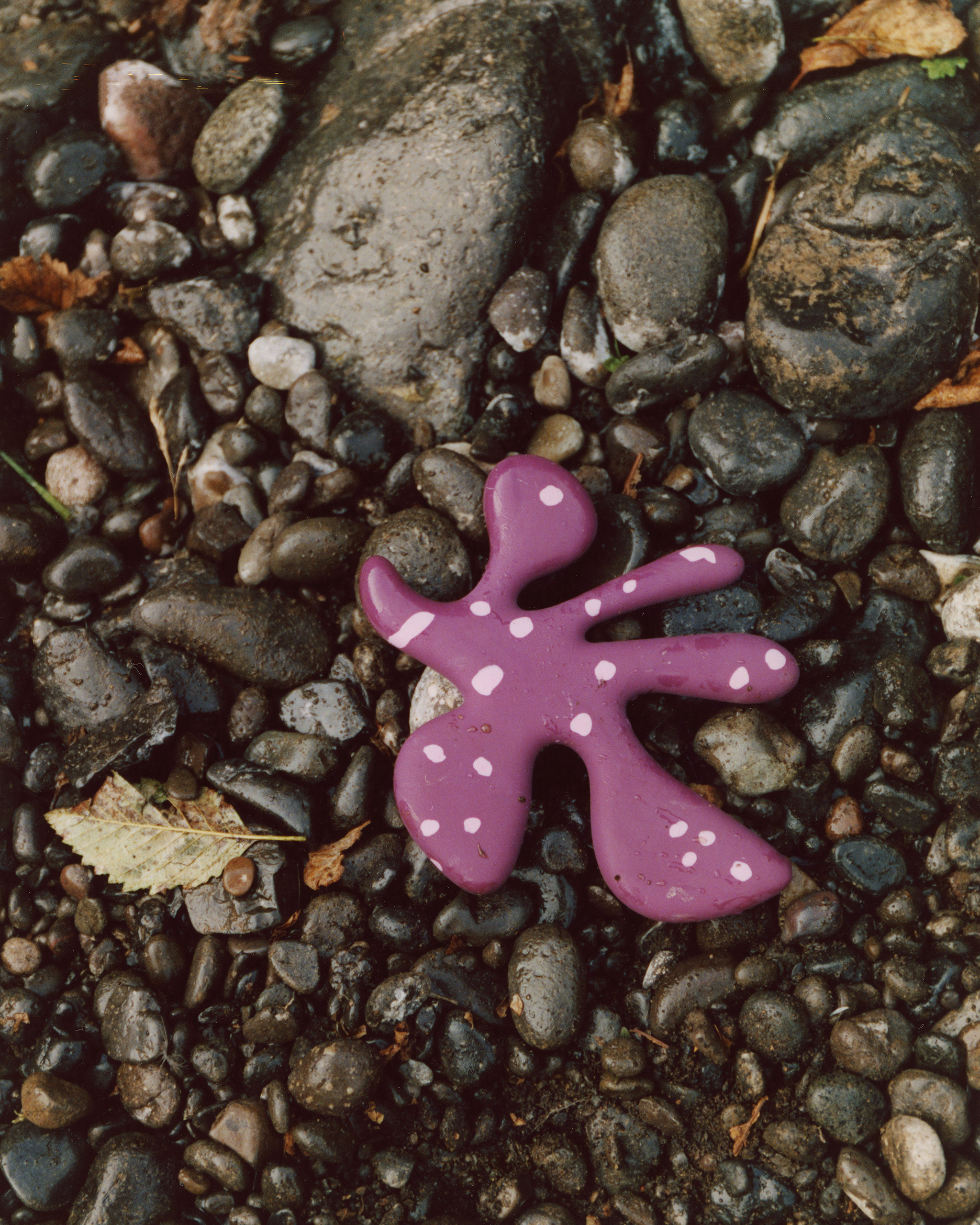 Maroon The "Petal" Toy for wholesale on Faire3