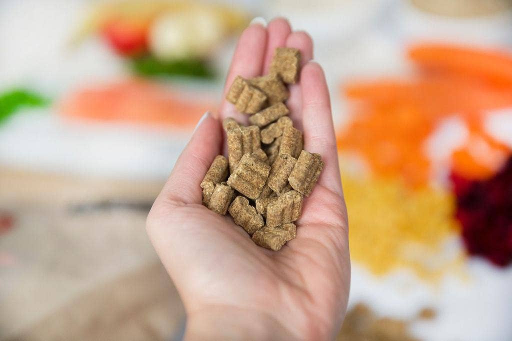 Kivo Petfood - Wholesale Pet Food - Dog - Chicken &amp; Beef - Junior/Energy - Cold Pressed - Gluten Free2