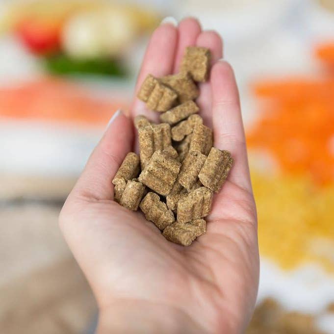 Kivo Petfood - Vente Nourriture – chien - Poulet & Bœuf - Junior/Énergie - Pressé à froid - Sans gluten2