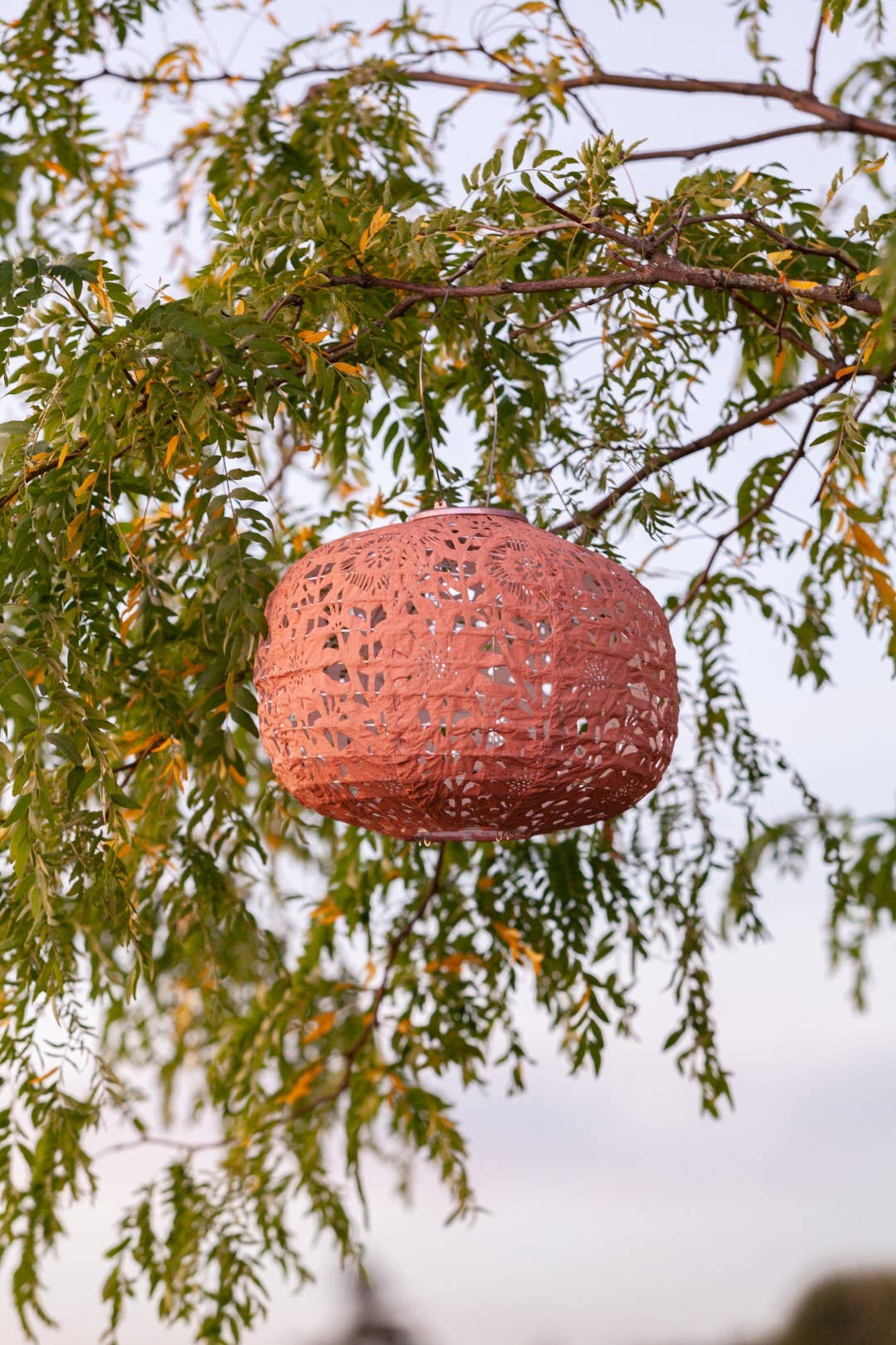 Allsop Home & Garden - Wholesale Outdoor/Lawn Light - Stella Square Sunflower 11" Solar Lantern - Clay10