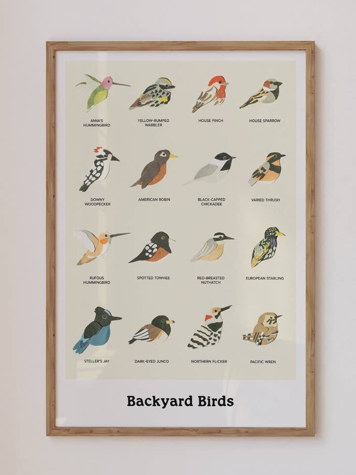 Backyard Birds Poster for wholesale by Neets