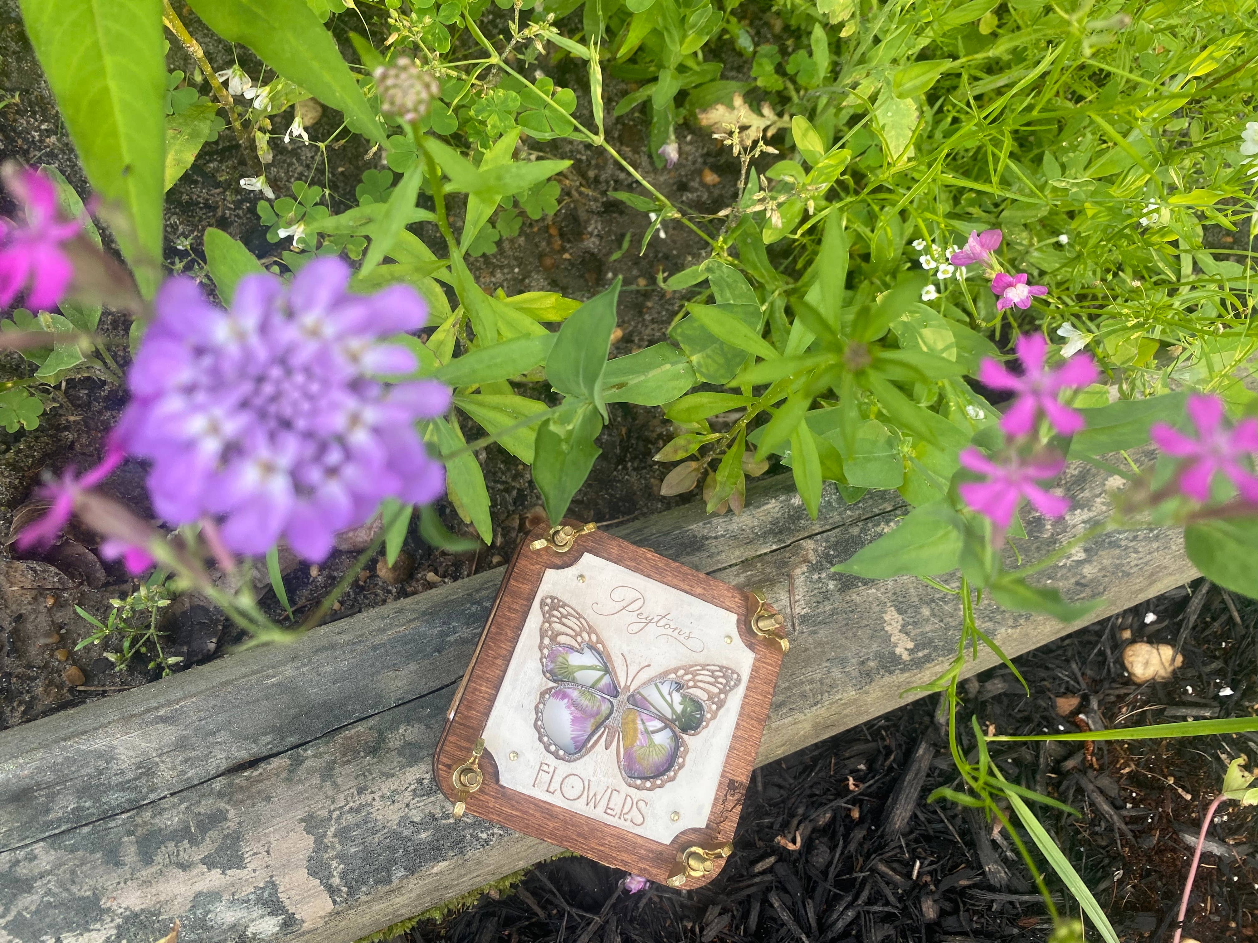 Holly Hills Lane - Wholesale DIY Craft Kit - Handmade Butterfly Flower Press Makes a Great Mindful Gift5