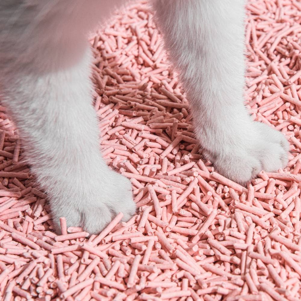 MichuPet – Engroshandel Kattebakke – Michu natursand af klumpende tofu til katte 2,5 kg/6 L11