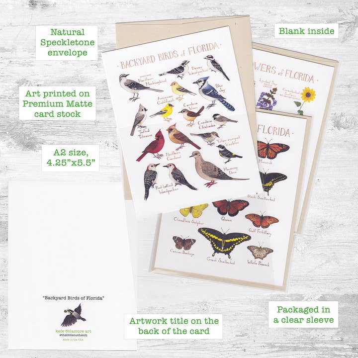 Kate Dolamore Art - Wholesale Everyday Greeting Card - Wildflowers of Pennsylvania Note Card1