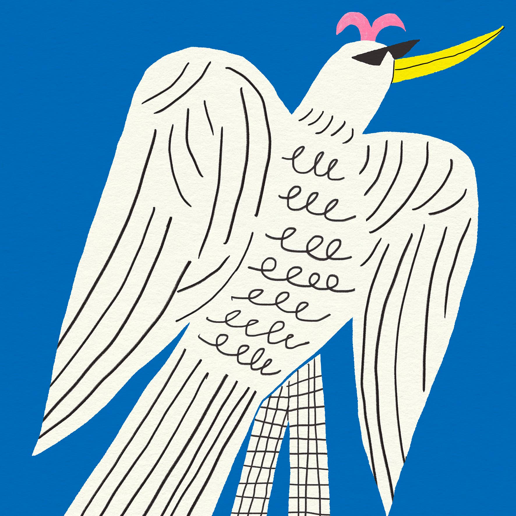 Dans Les Dents - Wholesale Poster - Poster 30X40 CM - THE SKATER BIRD - AFF1451